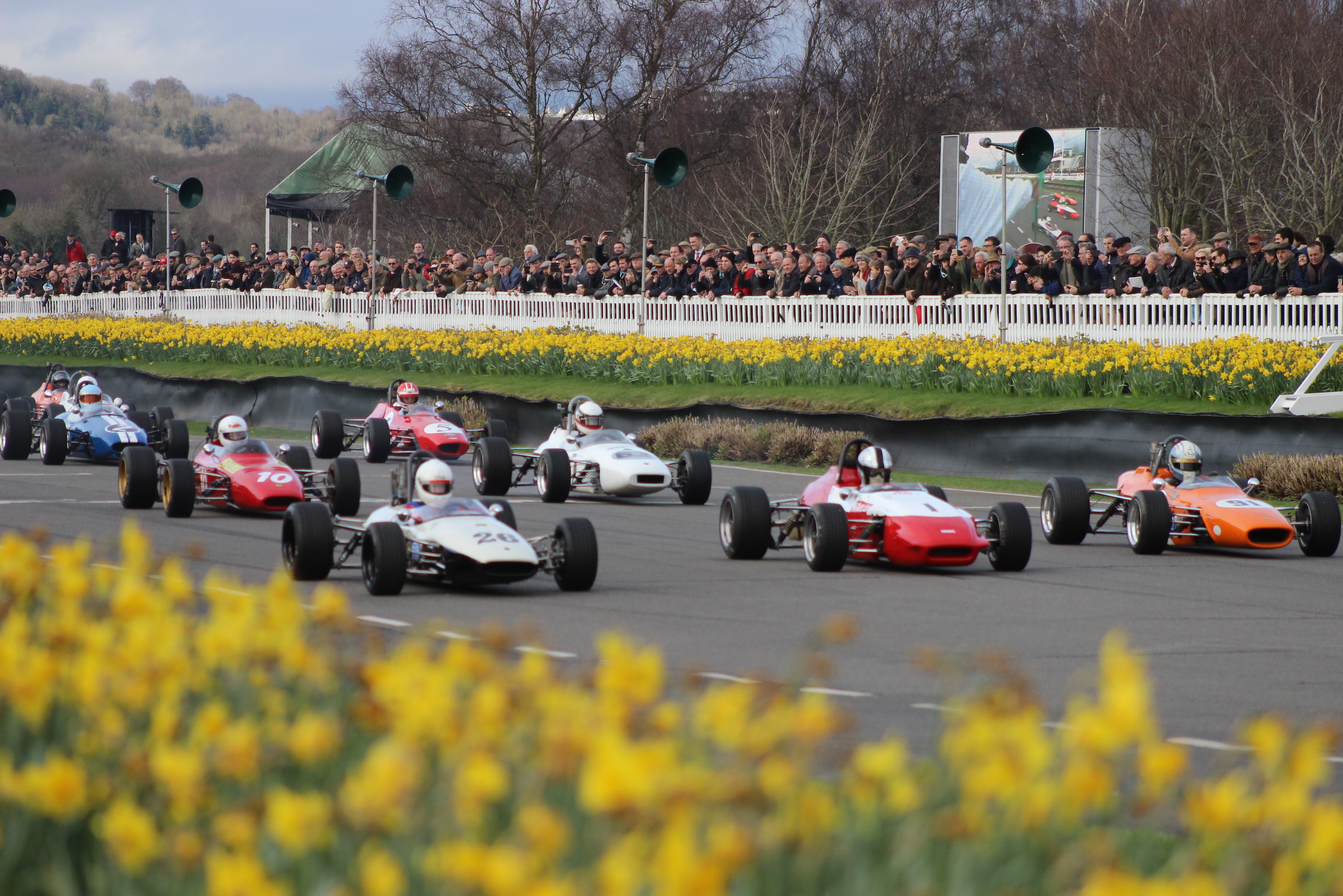 Racecars and Daffodils